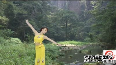 512-云之南
