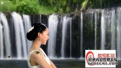 519-花香