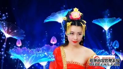 306-美人天下