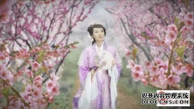 335-桃花缘