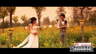 344-Love is here